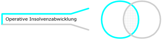 Bellack operative Insolvenzabwicklung